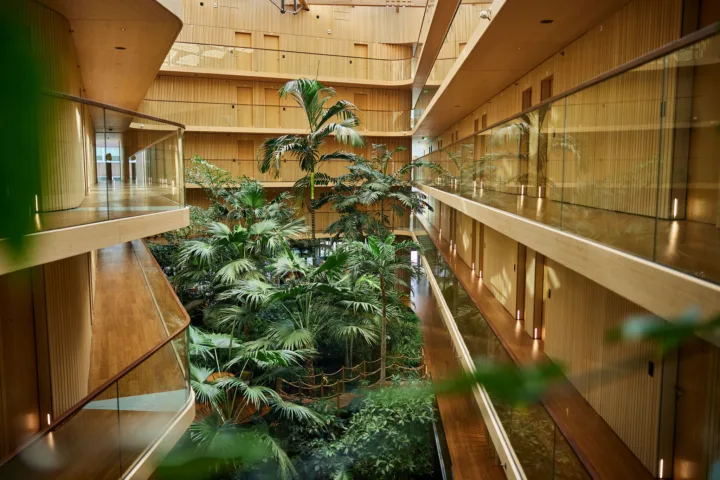 Home &bull; DBK - Webdevelopment & Online Marketing Bureau